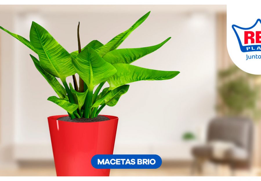 Macetas Brio: el toque perfecto para dar vida a tus espacios interiores